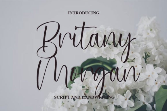 Britany Morgan: A Script Font That Elevates Digital Branding