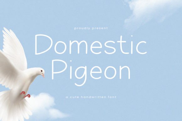 Domestic Pigeon: A Script Amp That Earns Its Place