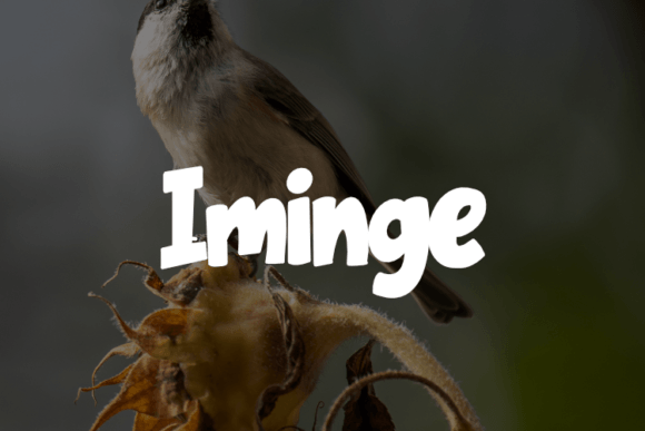 Iminge: A Script Font for Editorial Design and Branding