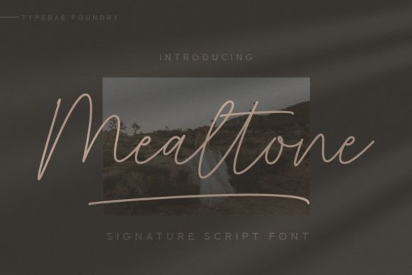 Mealtone: A Handwritten Script Font That Makes Your Campaign Feel Human