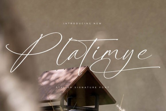 Platimye: A Sophisticated Script Font for Real Small Business Branding